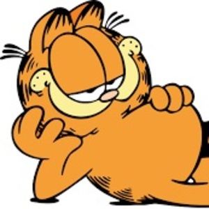 Meet your Posher, Garfield